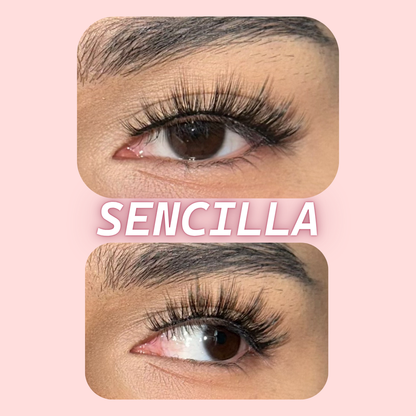 Sencilla | Lash Lover Lashes (Short Anime Rounded, Perfect for Glasses Wearers)